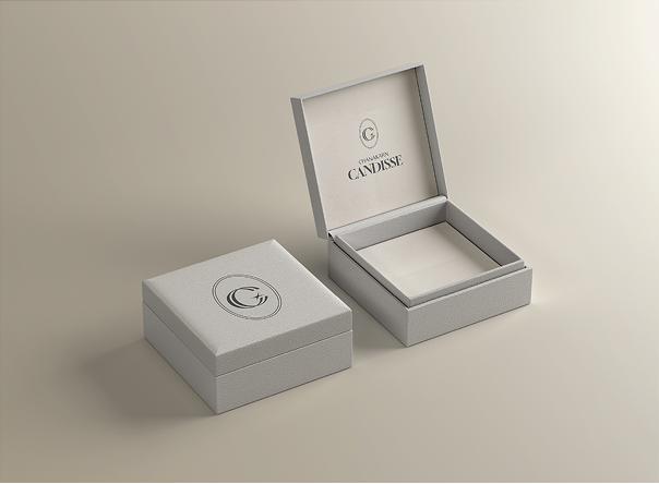 Candisse jewelry box